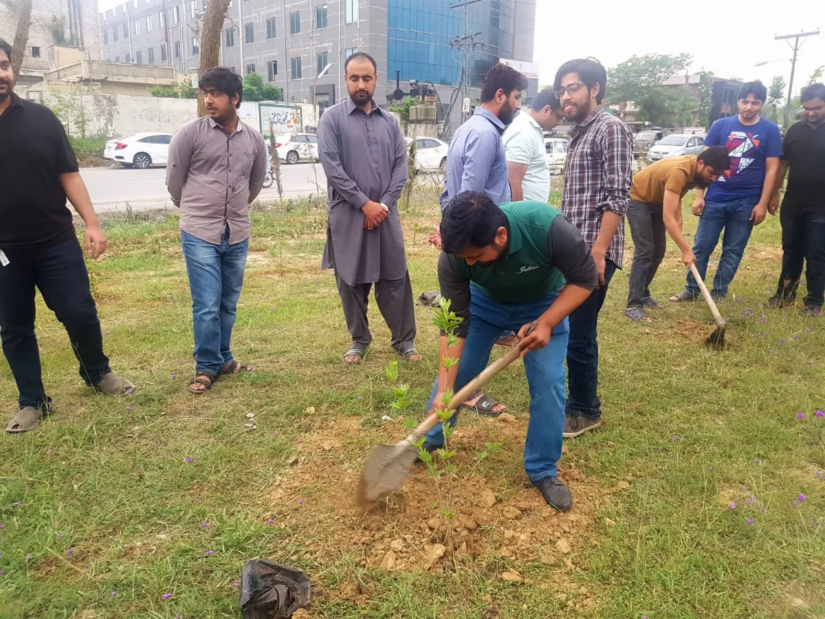 Giving back — community tree planting